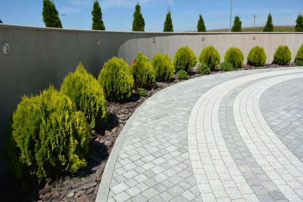 Best Driveway Pavers for Homes  in Monahans, TX